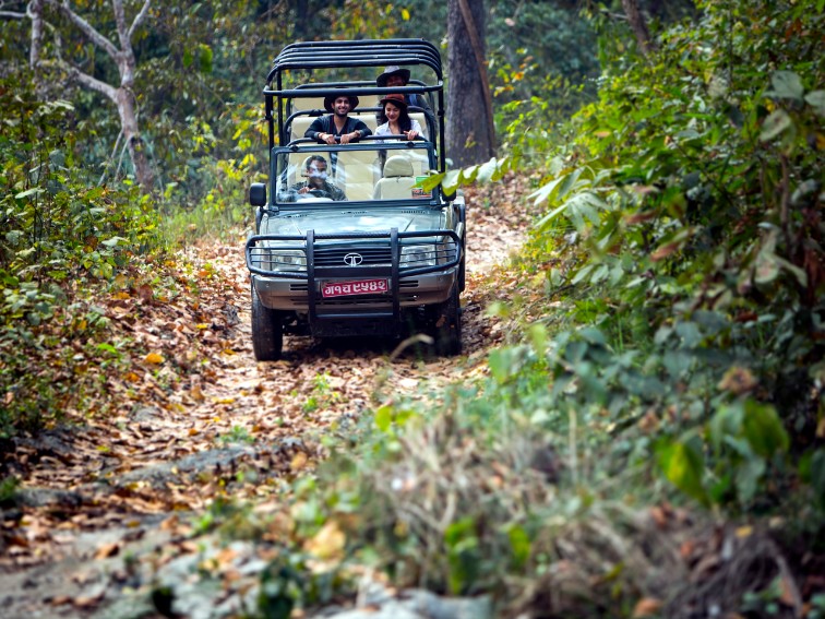 Wilderness Retreats at Meghauli Serai, A Taj Safari