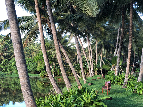 Coconut Greens Plantations near Taj Green Cove Resort & Spa, Kovalam