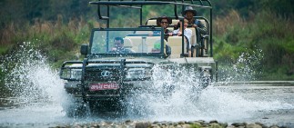 Experience Wildlife Journey with Taj Safaris