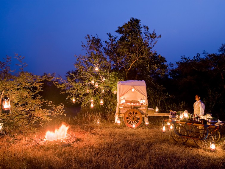 Unique Dining Experience at Pashan Garh, Panna National Park