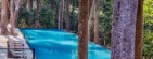 Swimming Pool View - Taj Exotica Resort & Spa, Andamans